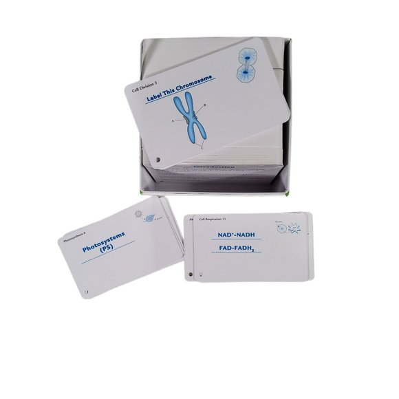 Barron's Other Barrons Ap Biology Study Flash Cards 2nd Edition 50